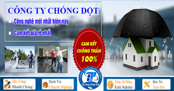 Công ty chống dột hiệu quả