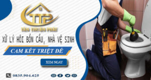 Xử lý hôi bồn cầu, nhà vệ sinh tại An Giang -【Cam kết triệt để】